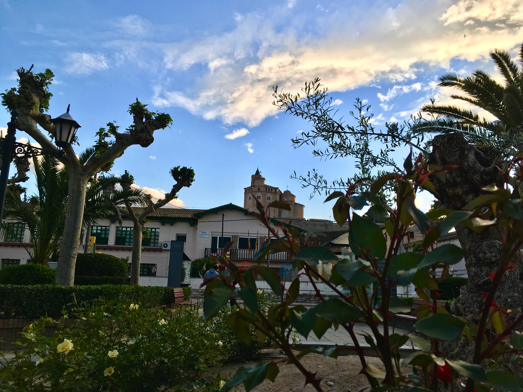 Contacto Tull arquitectura